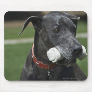 Great Dane with bone Mouse Pad