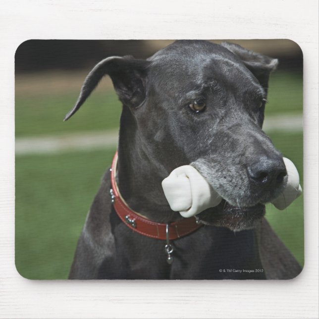 Great Dane with bone Mouse Pad (Front)