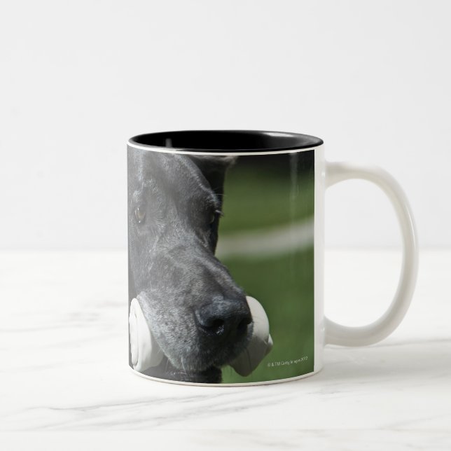 Great Dane with bone Two-Tone Coffee Mug (Right)