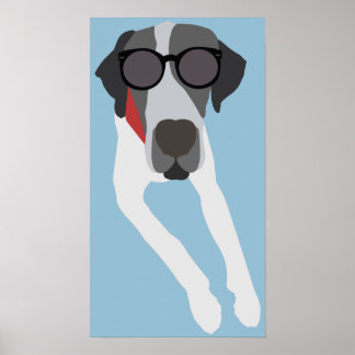 Great dane with sunglasses poster