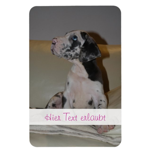 Great Danes Magnet (Vertical)