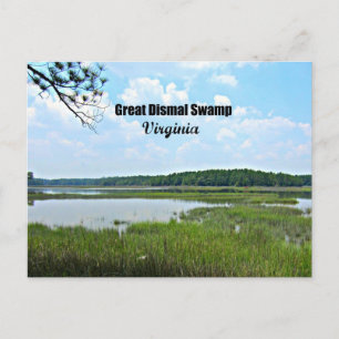 Great Dismal Swamp - Virginia Postcard