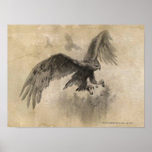 Great Eagles Sketch Poster
