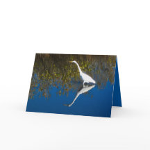 Great Egret #1 Greeting Card