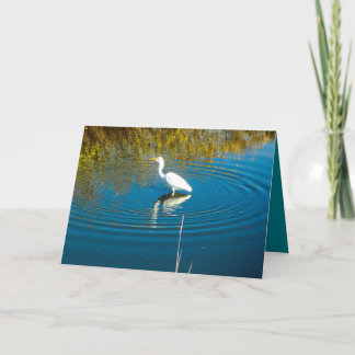 Great Egret #3 Greeting Card