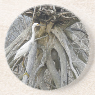 Great Egret (Ardea alba) OBX Outer Banks Coaster