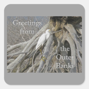 Great Egret (Ardea alba) OBX Outer Banks Square Sticker