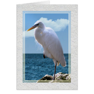 Great Egret at Water’s Edge