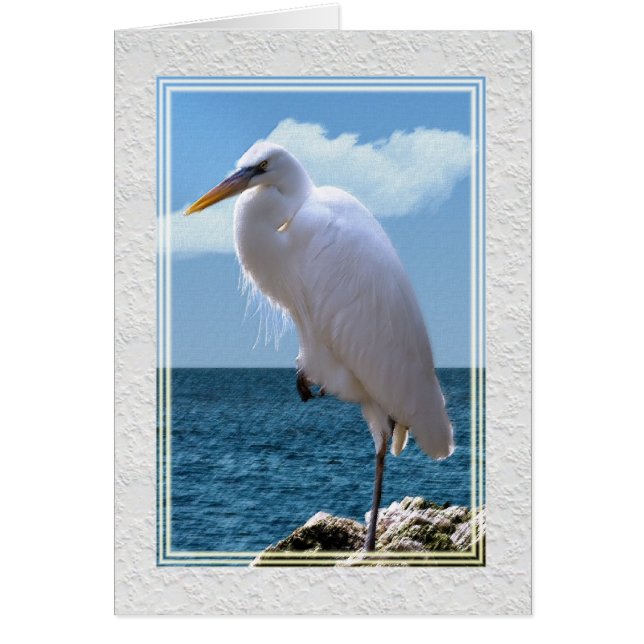 Great Egret at Water’s Edge (Front)