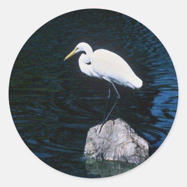 Great Egret Classic Round Sticker (Front)