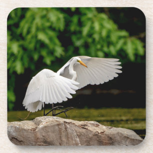 Great Egret Coaster