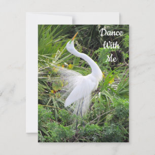 Great Egret Dance with Me Valentine - Flat Card