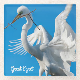 Great Egret Glass Coaster