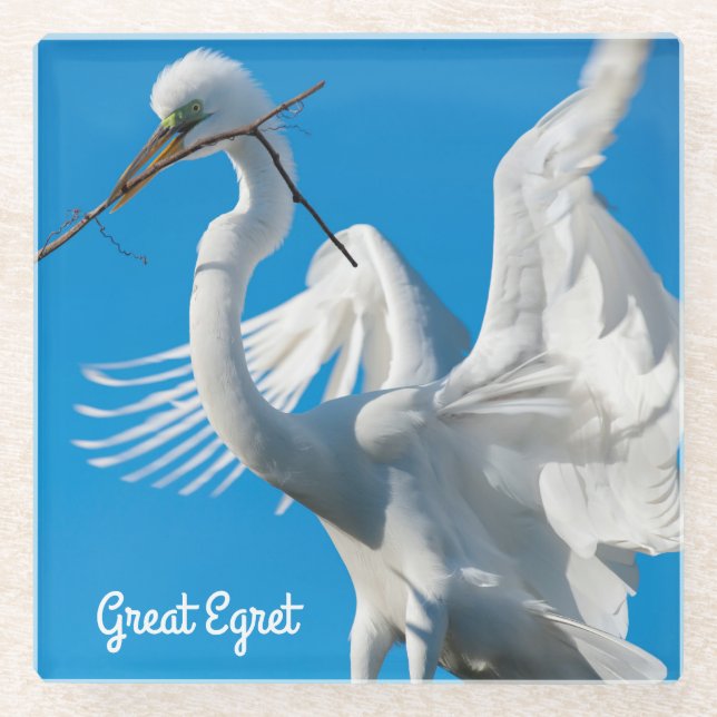 Great Egret Glass Coaster (Front)