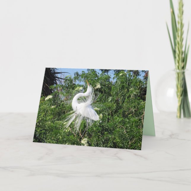 Great Egret Greeting Card (Front)