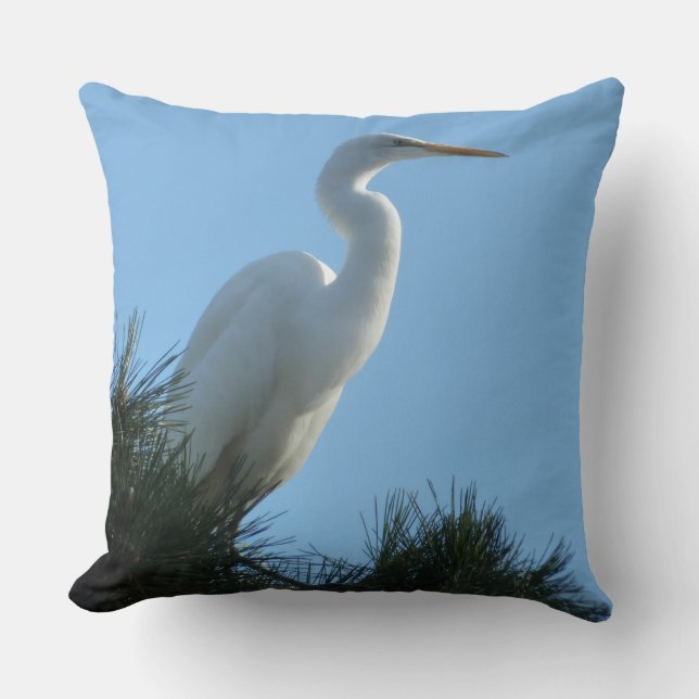 Great Egret in Sunny Florida Cushion (Front)