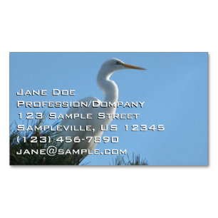 Great Egret in Sunny Florida Magnetic Business Card