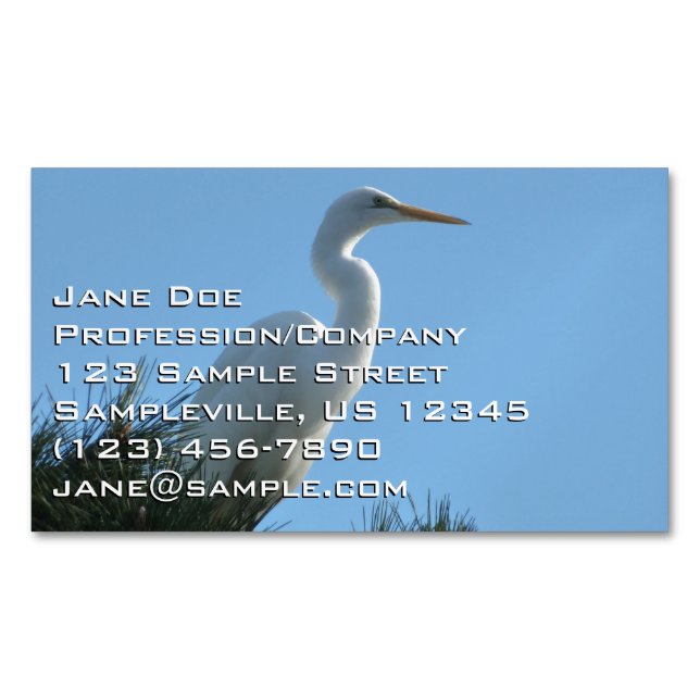 Great Egret in Sunny Florida Magnetic Business Card (Front)