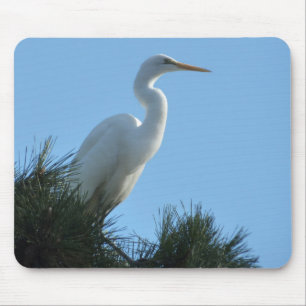 Great Egret in Sunny Florida Mouse Pad