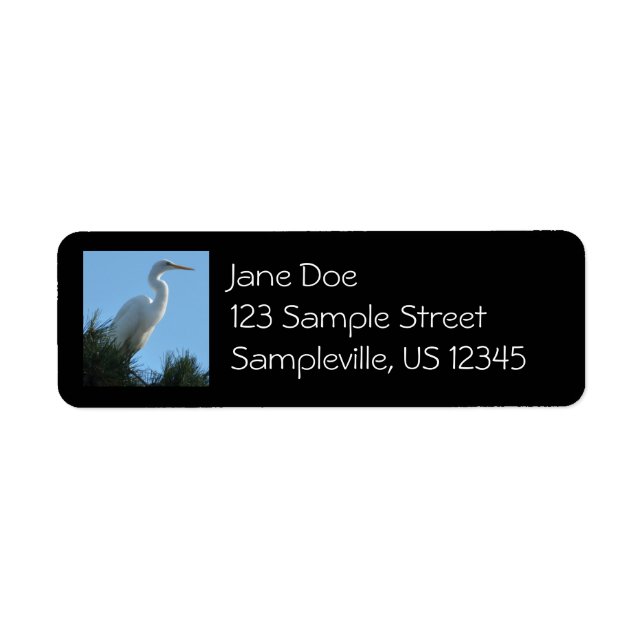 Great Egret in Sunny Florida Return Address Label (Front)