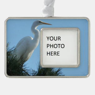 Great Egret in Sunny Florida Silver Plated Framed Ornament