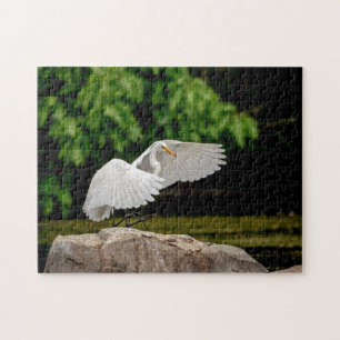 Great Egret Jigsaw Puzzle