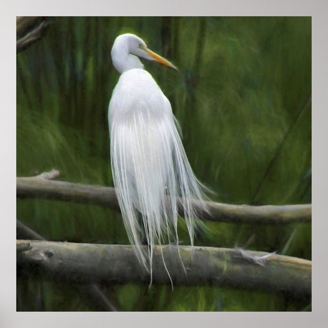 Great Egret LIGHT AS A FEATHER Poster (Front)