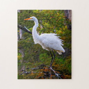 Great Egret Louisana. Jigsaw Puzzle