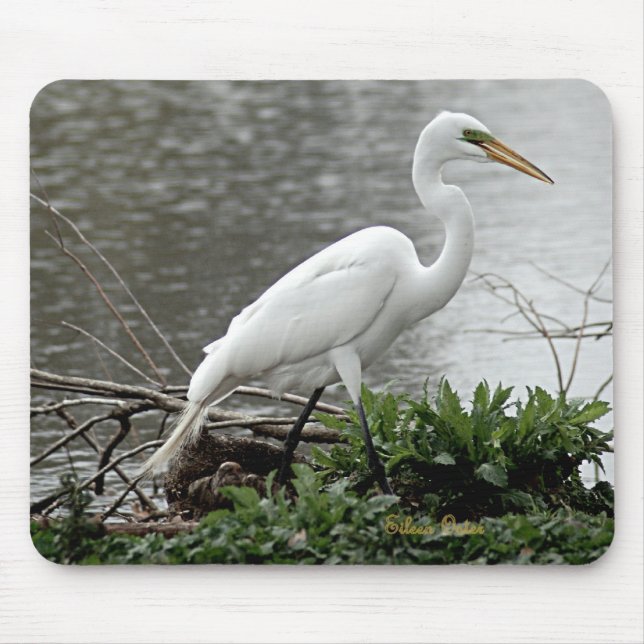 Great Egret Mouse Pad (Front)