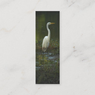 Great Egret Photo Bookmark Profile Card