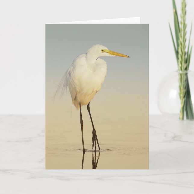 Great Egret Walking Greeting Card (Front)