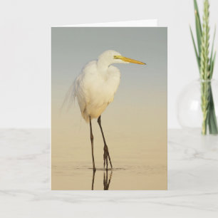 Great Egret Walking Greeting Card