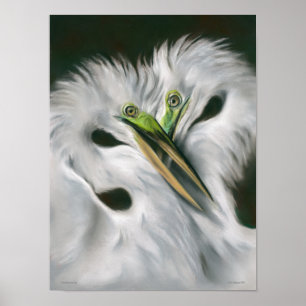 Great Egrets in Love Poster