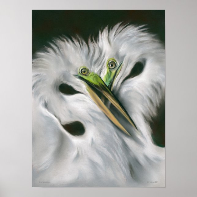 Great Egrets in Love Poster (Front)