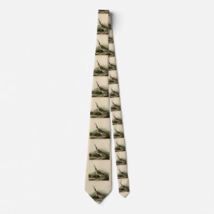 Great Esquimaux Curlew (Hudsonian) Audubon Birds Tie