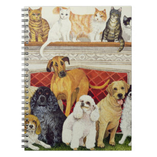 Great Expectations Notebook