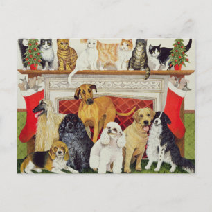 Great Expectations Postcard