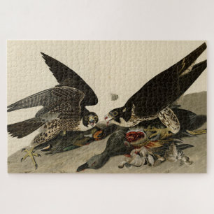 Great-footed Hawk from Audubon's Birds of America Jigsaw Puzzle