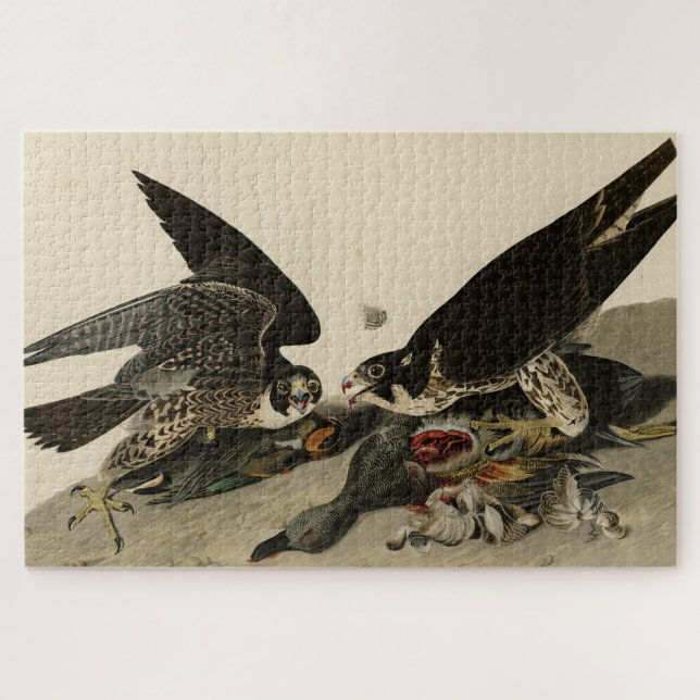 Great-footed Hawk from Audubon's Birds of America Jigsaw Puzzle (Horizontal)