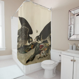 Great-footed Hawk from Audubon's Birds of America Shower Curtain