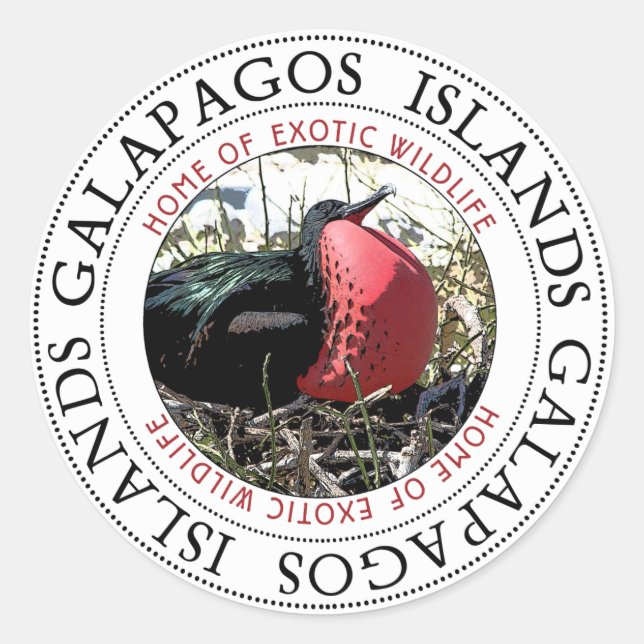 Great Frigate Bird Galapagos Islands Classic Round Sticker (Front)