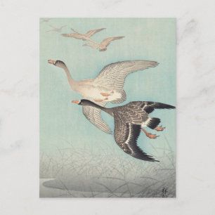 Great Geese in Flight Painting by Ohara Koson Postcard