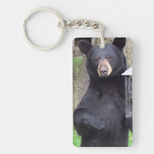 Great Gentle Bear Key Ring