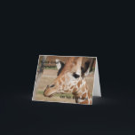 Great Grandson Birthday Card with Giraffe<br><div class="desc">So cute this little guy wanting food!</div>