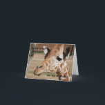 Great Grandson Birthday Card with Giraffe<br><div class="desc">So cute this little guy wanting food!</div>