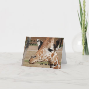 Great Grandson Birthday Card with Giraffe