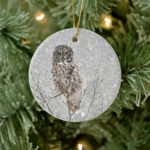 Great Gray Owl in Winter Ceramic Ornament