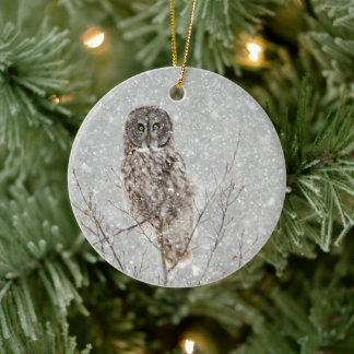 Great Gray Owl in Winter Ceramic Ornament