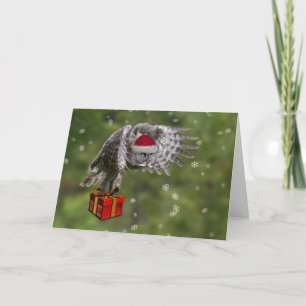 Great Gray Owl Santa Card