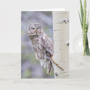 Great Grey Aspen Tree Branch Card